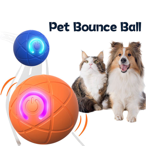Surprise Your Furry Kid!🎁Pet Bounce Ball for Cats🐱 & Dogs🐶🔥Last Day 60% OFF