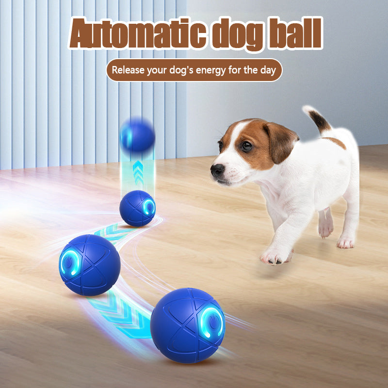 Surprise Your Furry Kid!🎁Pet Bounce Ball for Cats🐱 & Dogs🐶🔥Last Day 60% OFF